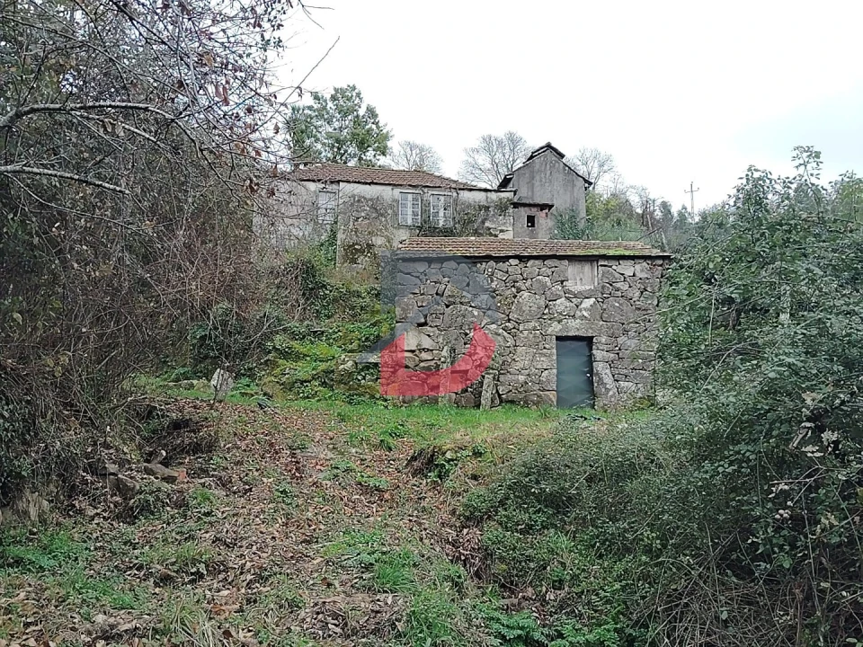 Terreno Agricola ou Rústico para Venda em Fornelos Foto 1