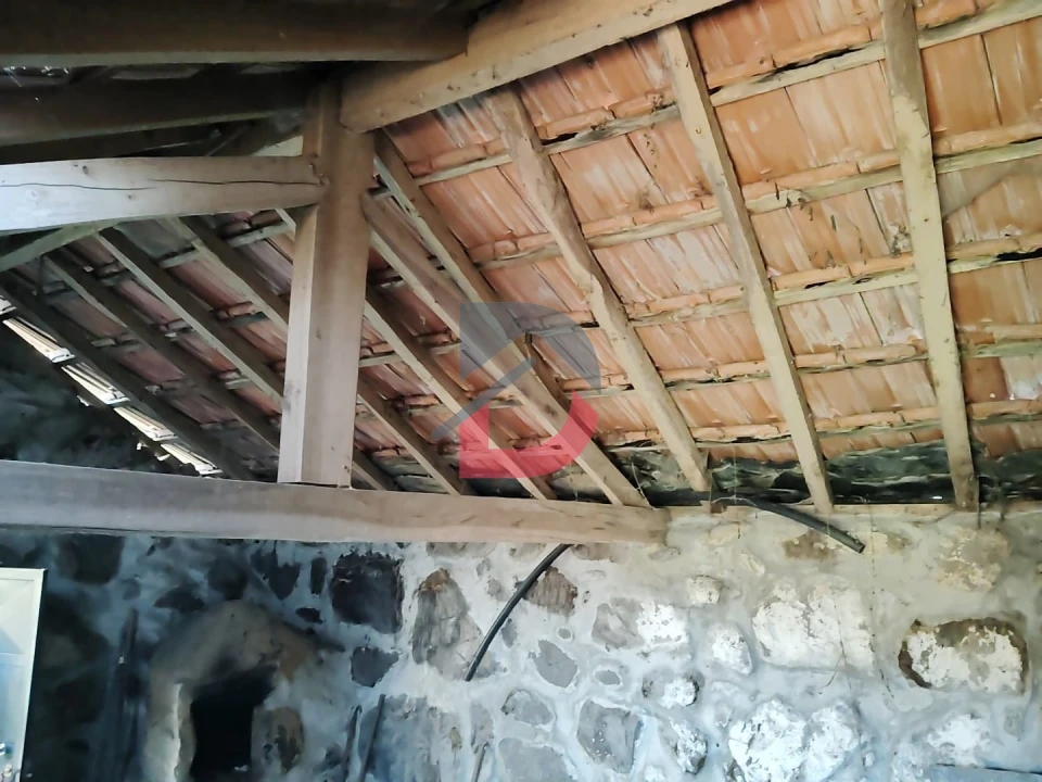 Terreno Agricola ou Rústico para Venda em Fornelos Foto 10