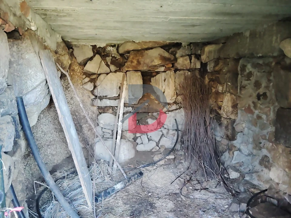 Terreno Agricola ou Rústico para Venda em Fornelos Foto 12