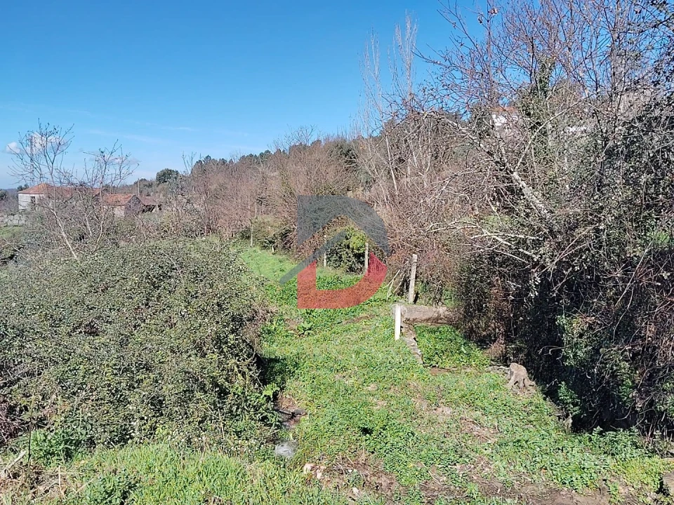 Terreno Agricola ou Rústico para Venda em Fornelos Foto 3