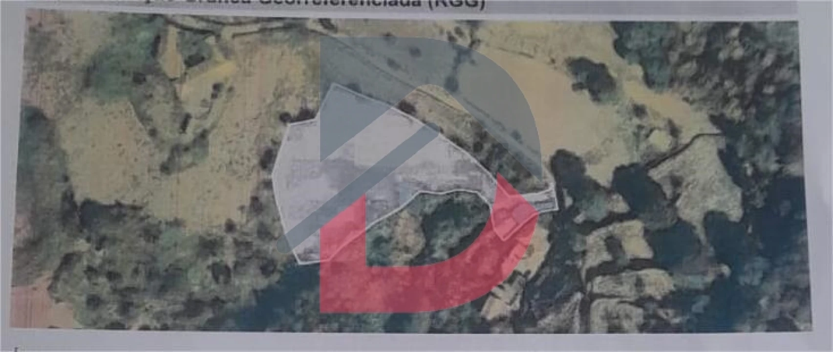 Terreno Agricola ou Rústico para Venda em Fornelos Foto 24