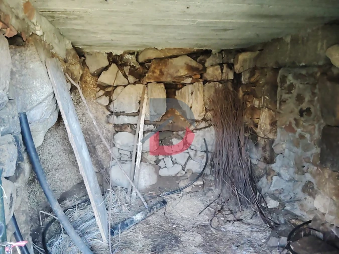 Terreno Agricola ou Rústico para Venda em Fornelos Foto 12