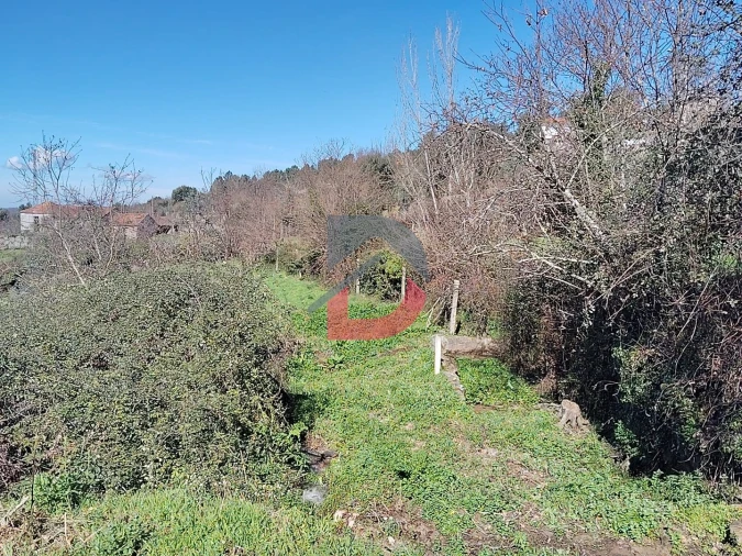 Terreno Agricola ou Rústico para Venda em Fornelos Foto 3