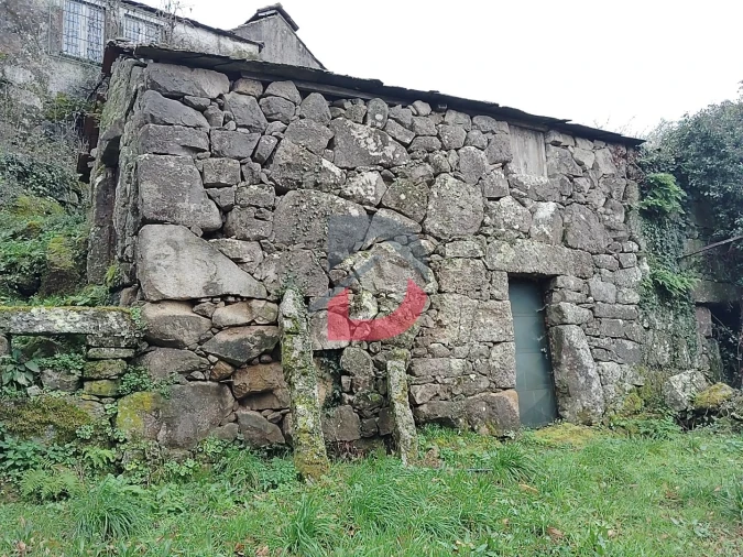 Terreno Agricola ou Rústico para Venda em Fornelos Foto 18