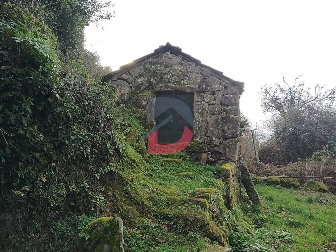 Terreno Agricola ou Rústico para Venda em Fornelos Foto 22