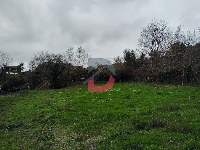 Terreno Agricola ou Rústico para Venda em Fornelos Foto 21