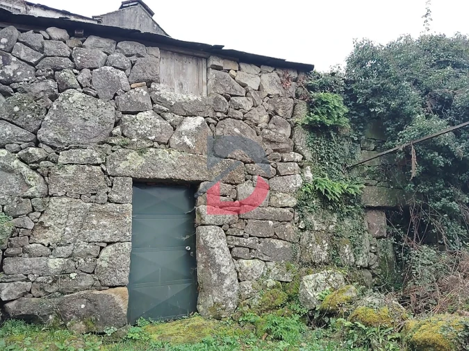 Terreno Agricola ou Rústico para Venda em Fornelos Foto 11