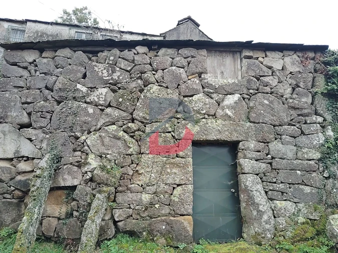 Terreno Agricola ou Rústico para Venda em Fornelos Foto 13