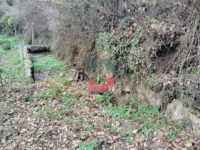 Terreno Agricola ou Rústico para Venda em Fornelos Foto 16