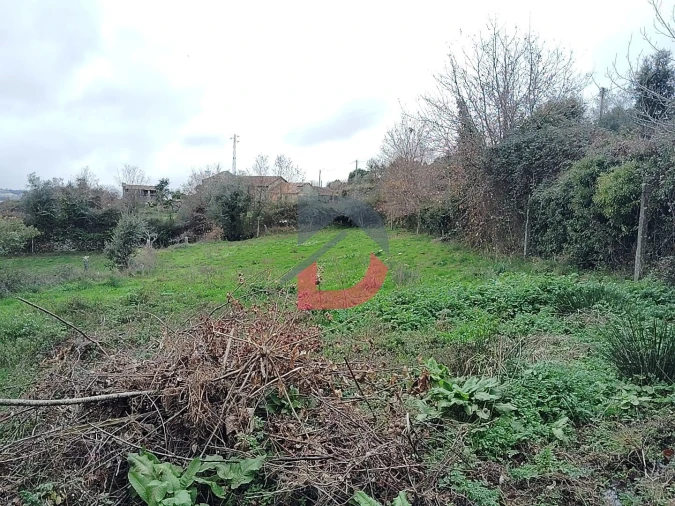 Terreno Agricola ou Rústico para Venda em Fornelos Foto 23