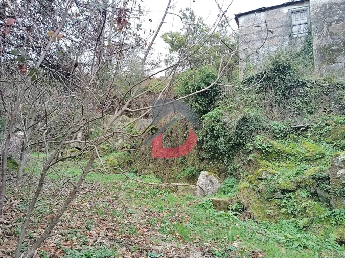 Terreno Agricola ou Rústico para Venda em Fornelos Foto 14