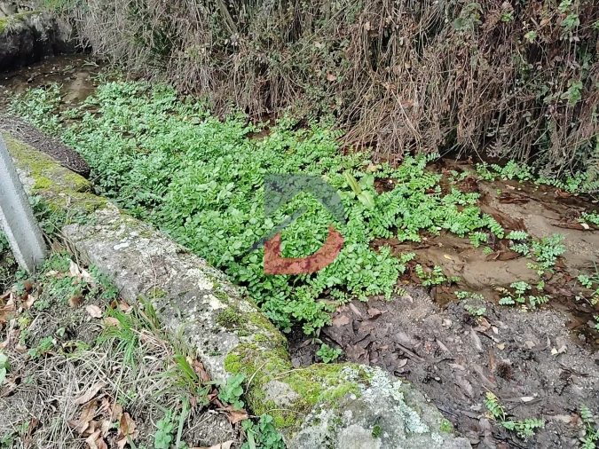 Terreno Agricola ou Rústico para Venda em Fornelos Foto 17