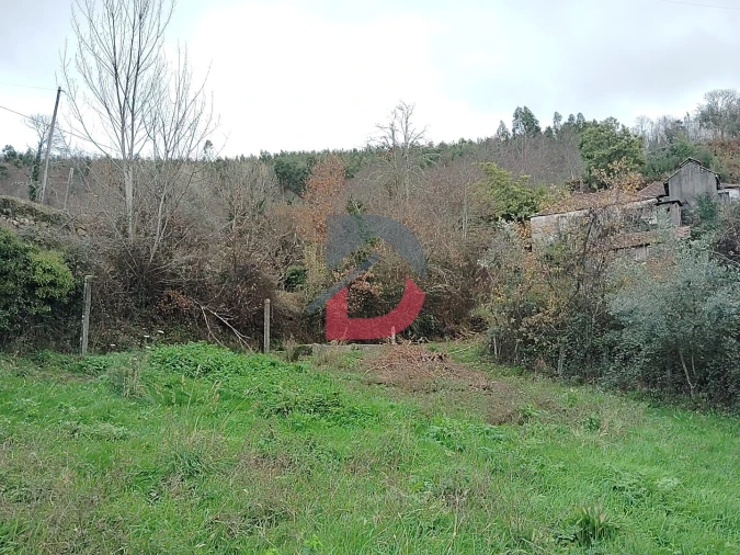 Terreno Agricola ou Rústico para Venda em Fornelos Foto 20