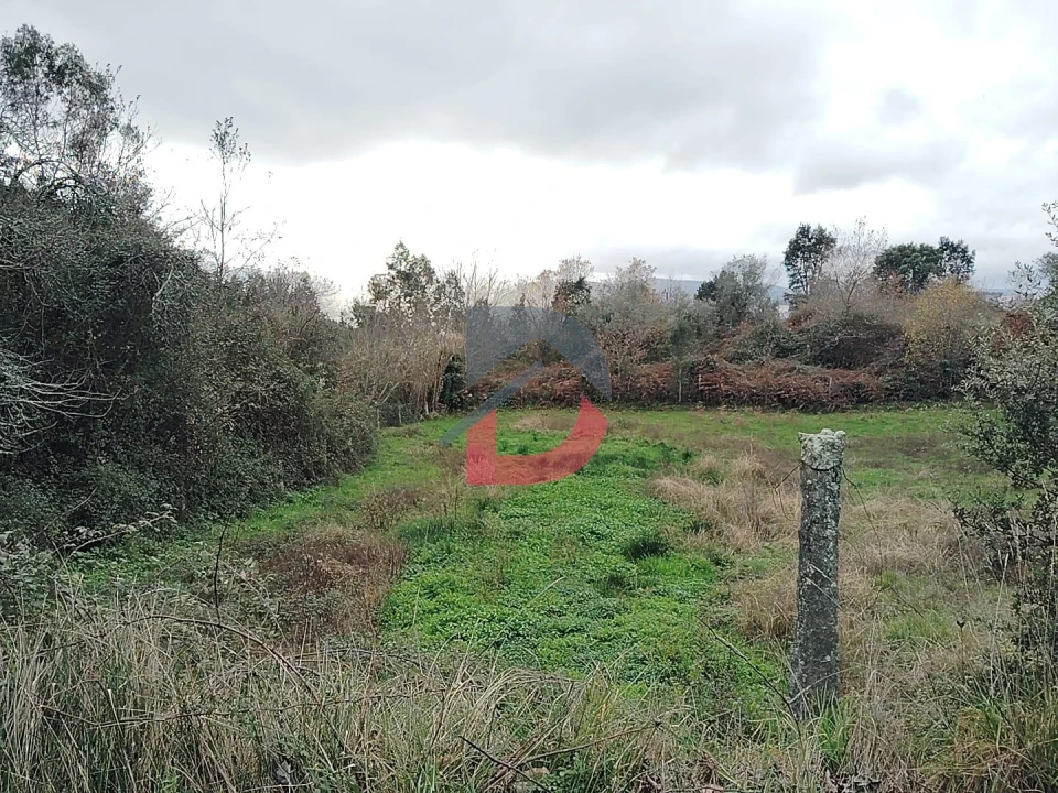 Terreno Agricola ou Rústico para Venda em Fornelos Foto 19