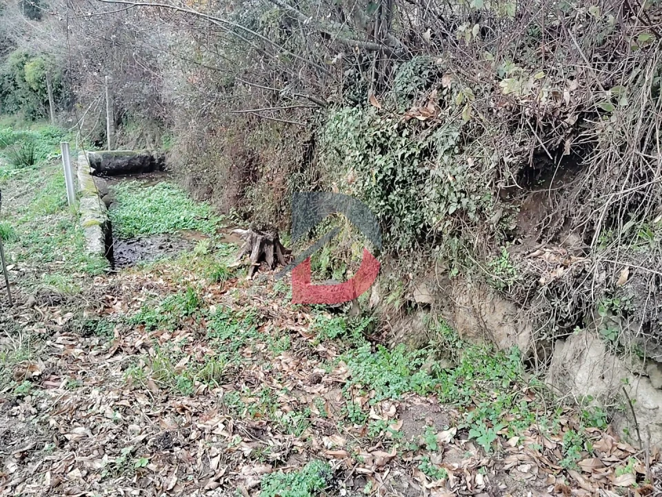 Terreno Agricola ou Rústico para Venda em Fornelos Foto 16