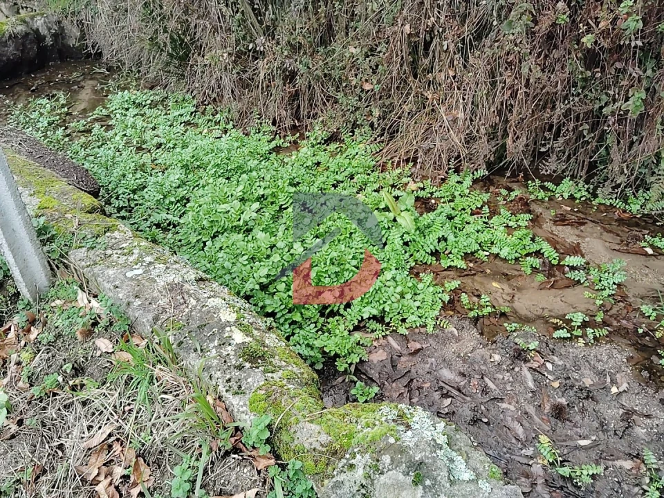 Terreno Agricola ou Rústico para Venda em Fornelos Foto 17