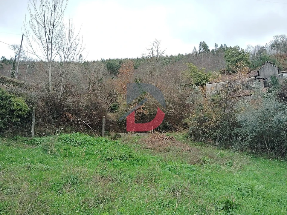 Terreno Agricola ou Rústico para Venda em Fornelos Foto 20