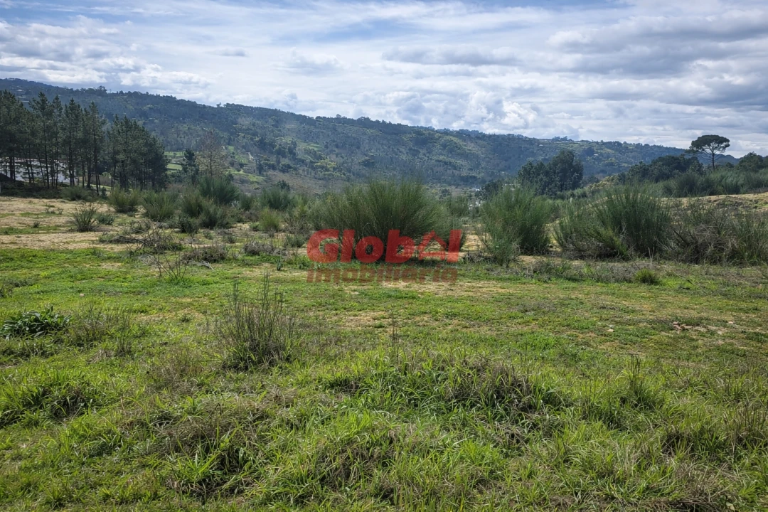 Terreno para Venda em Fragosela Foto 1