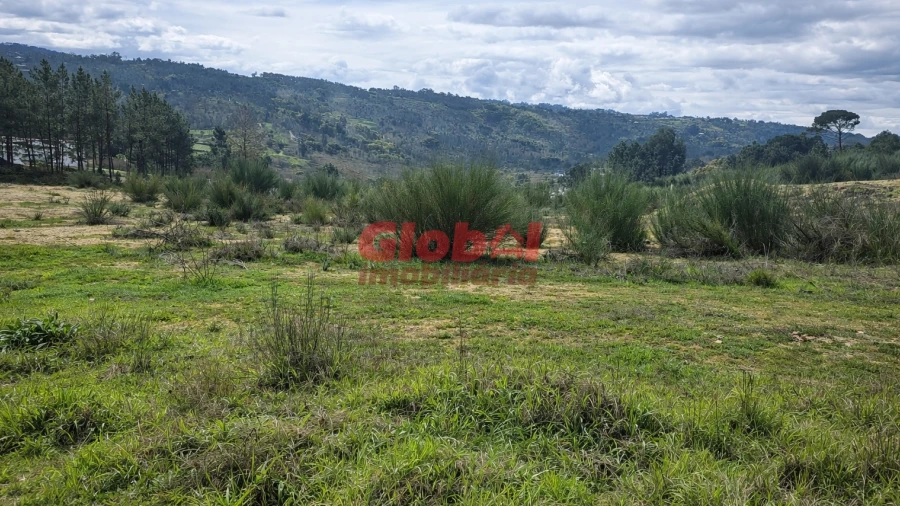 Terreno para Venda em Fragosela