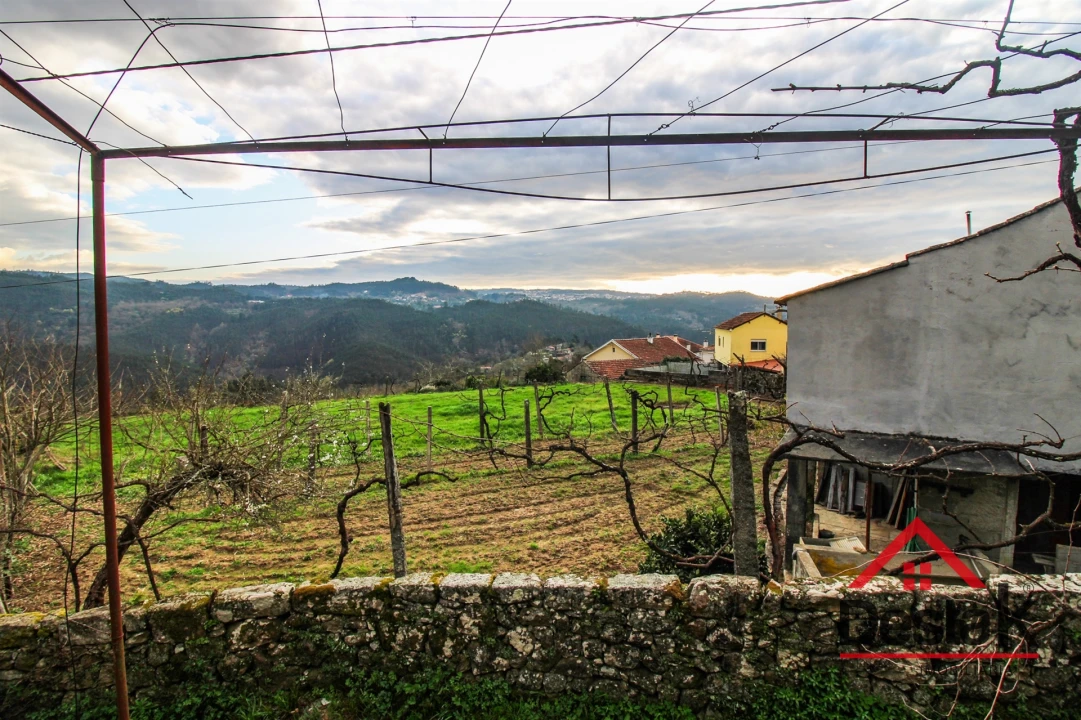 Moradia T3 para Venda em Serrazes Foto 16