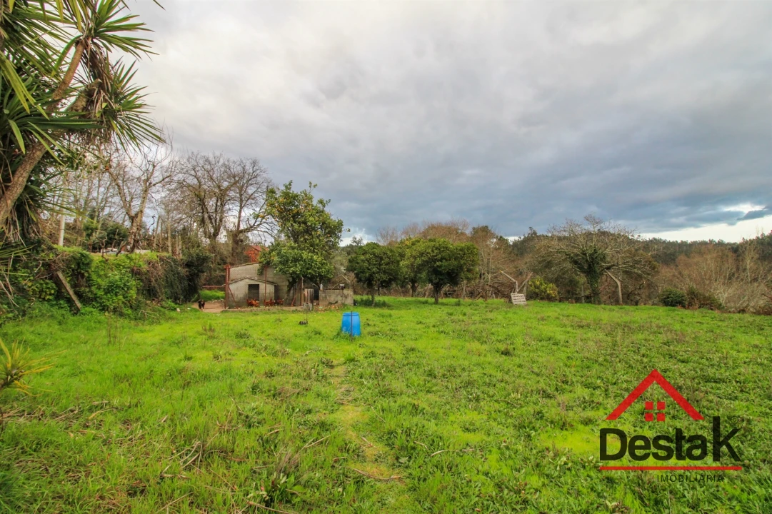 Moradia T3 para Venda em Serrazes Foto 5