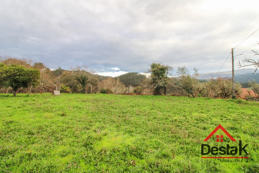 Moradia T3 para Venda em Serrazes Foto 6