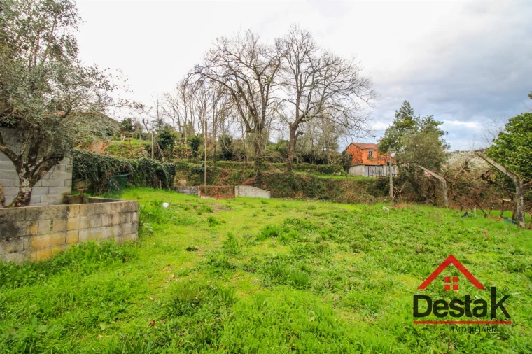 Moradia T3 para Venda em Serrazes Foto 8