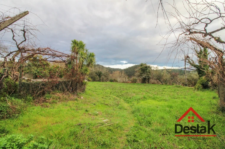 Moradia T3 para Venda em Serrazes Foto 4