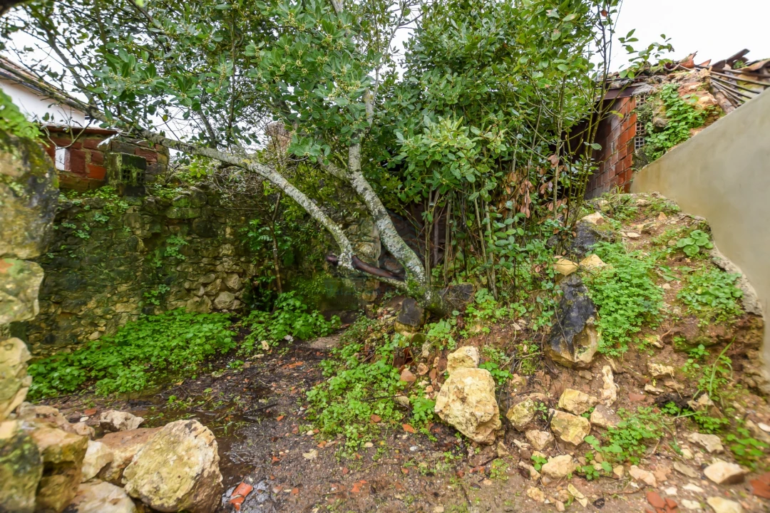 Moradia T3 para Venda em Chancelaria Foto 21