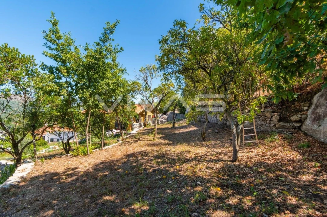 Moradia T3 para Venda em Caldelas, Sequeiros e Paranhos Foto 20