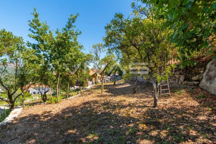 Moradia T3 para Venda em Caldelas, Sequeiros e Paranhos Foto 20