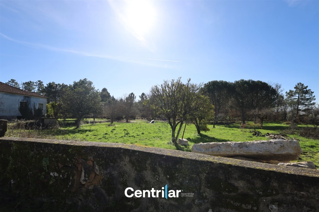 Terreno para Venda em Fornos de Maceira Dão Foto 3