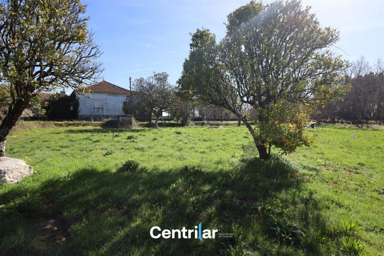 Terreno para Venda em Fornos de Maceira Dão Foto 2