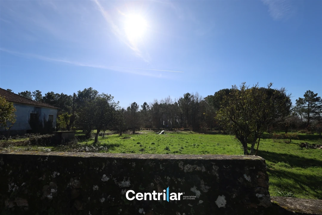 Terreno para Venda em Fornos de Maceira Dão Foto 4