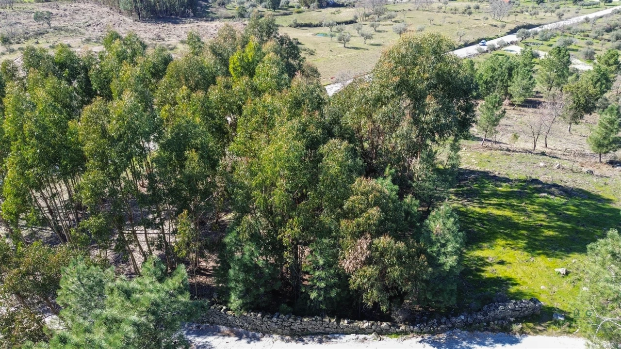 Terreno Agricola ou Rústico para Venda em Penamacor Foto 4