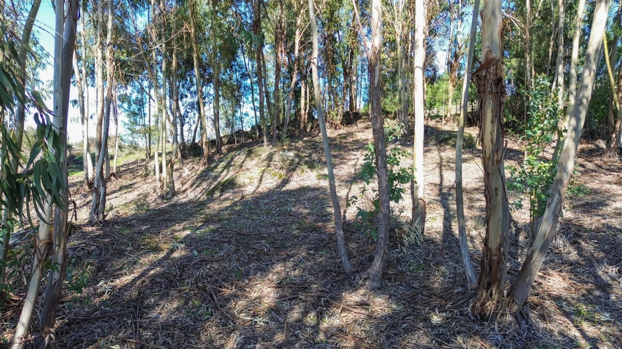 Terreno Agricola ou Rústico para Venda em Penamacor Foto 2