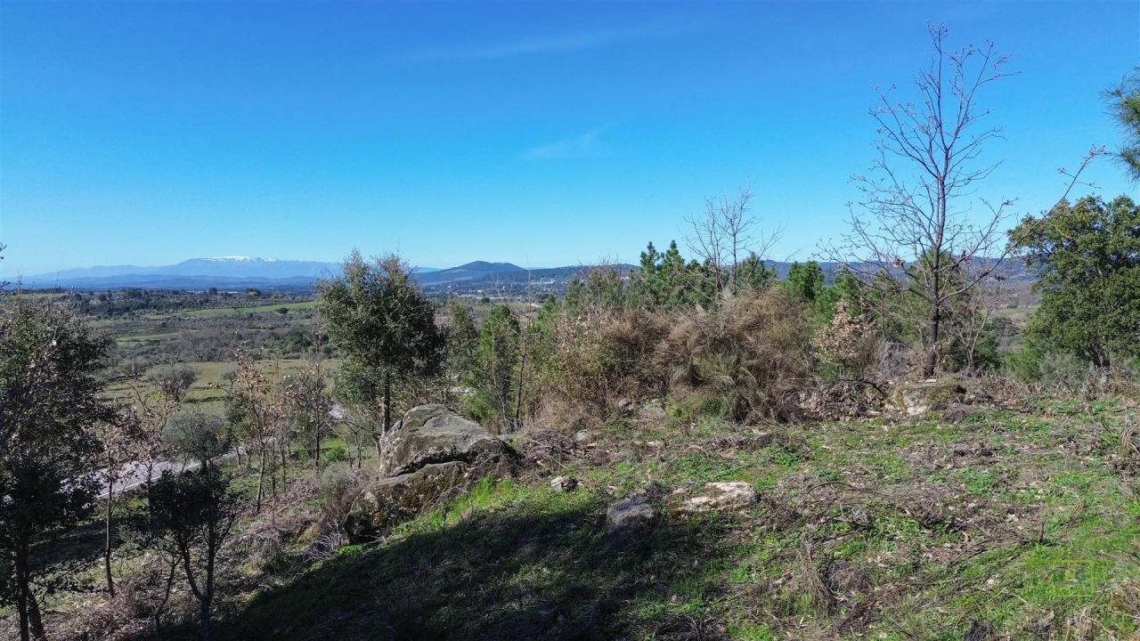 Terreno Agricola ou Rústico para Venda em Penamacor Foto 28