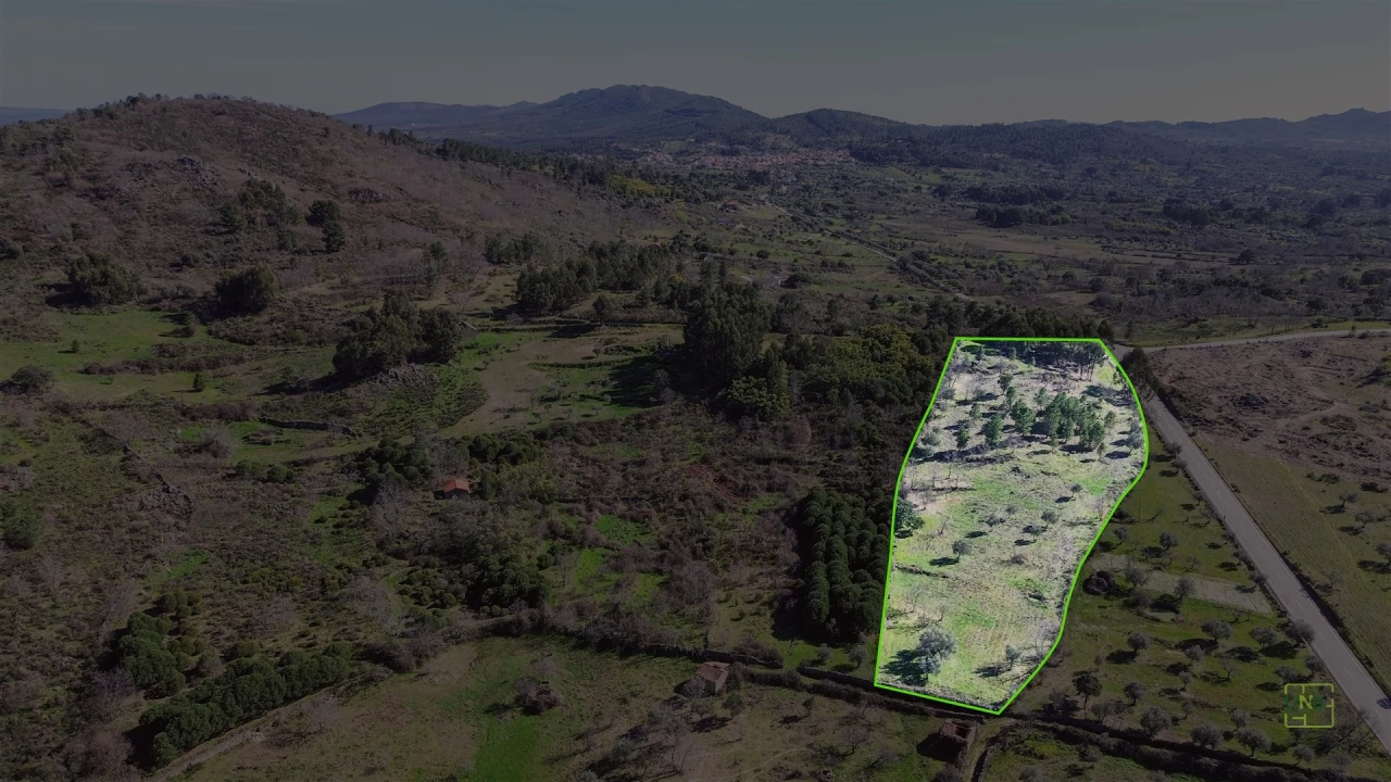 Terreno Agricola ou Rústico para Venda em Penamacor Foto 7