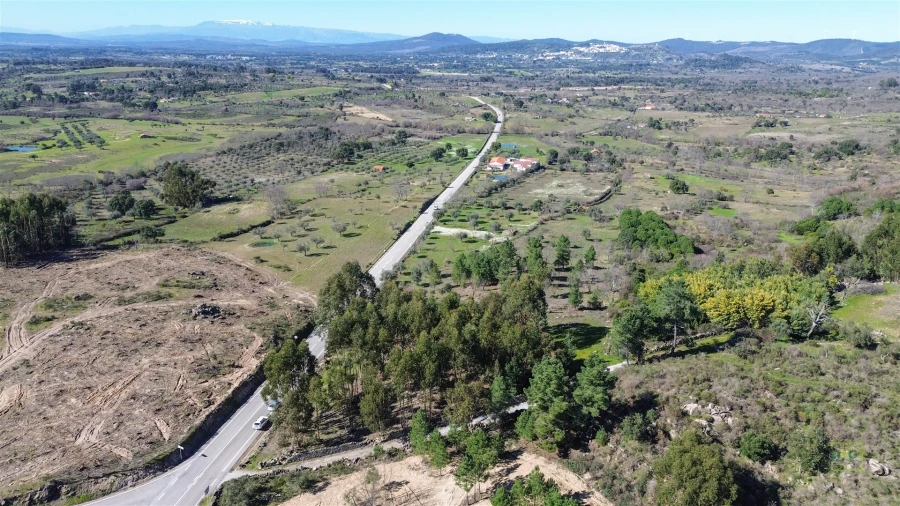 Terreno Agricola ou Rústico para Venda em Penamacor Foto 10