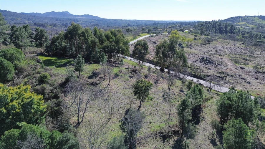 Terreno Agricola ou Rústico para Venda em Penamacor Foto 20