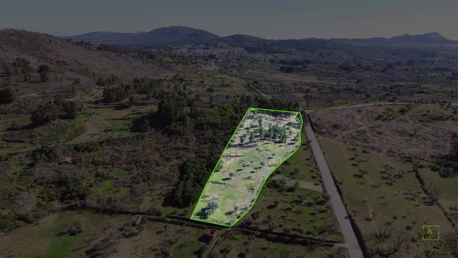 Terreno Agricola ou Rústico para Venda em Penamacor Foto 9