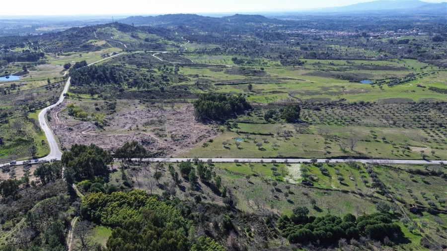 Terreno Agricola ou Rústico para Venda em Penamacor Foto 17