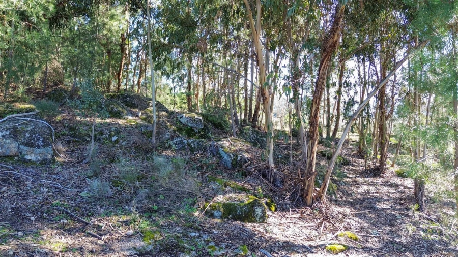 Terreno Agricola ou Rústico para Venda em Penamacor Foto 25