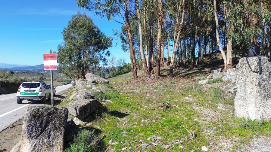 Terreno Agricola ou Rústico para Venda em Penamacor Foto 3