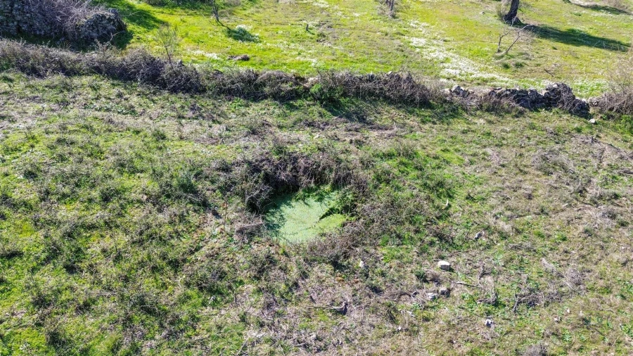 Terreno Agricola ou Rústico para Venda em Penamacor Foto 11