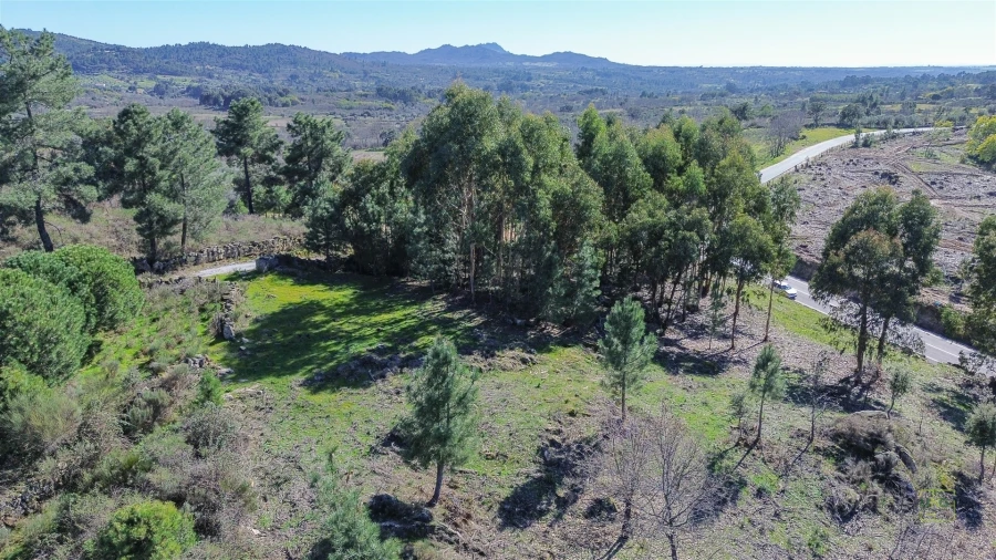 Terreno Agricola ou Rústico para Venda em Penamacor Foto 21