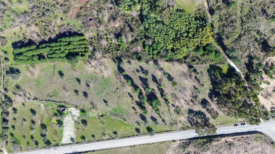 Terreno Agricola ou Rústico para Venda em Penamacor Foto 16