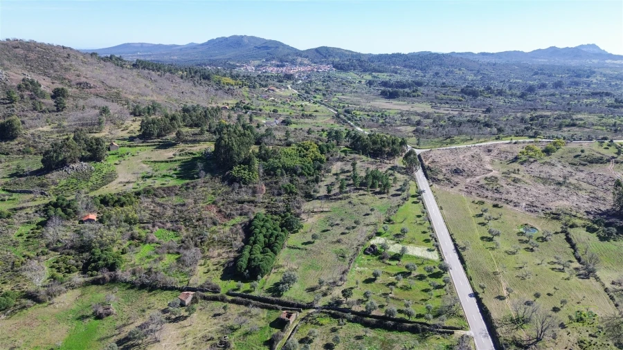 Terreno Agricola ou Rústico para Venda em Penamacor Foto 8