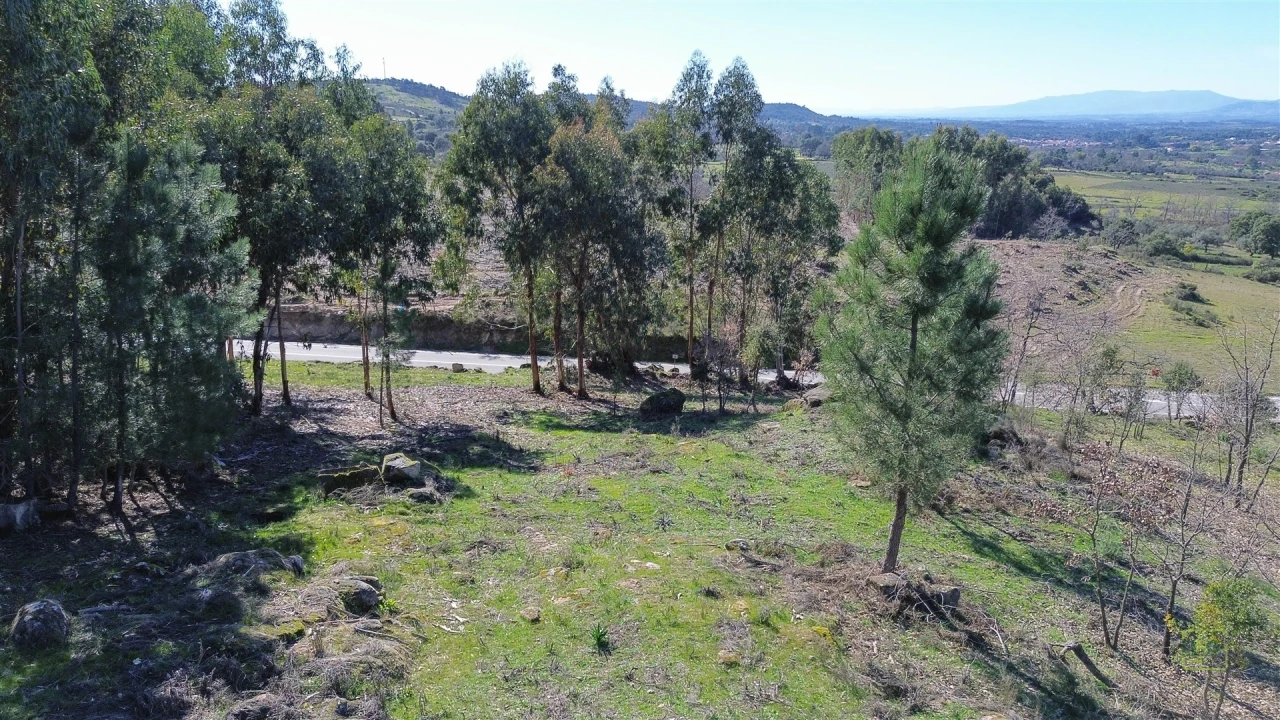 Terreno Agricola ou Rústico para Venda em Penamacor Foto 24