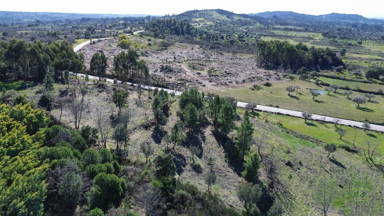 Terreno Agricola ou Rústico para Venda em Penamacor Foto 19